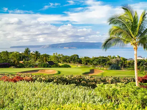 52 Kai Malu Dr #101 (9A), Kihei, HI 96753