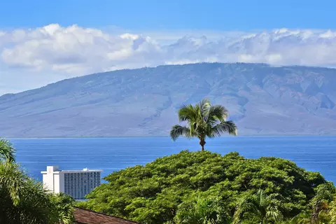 50 Puu Anoano St #3903, Lahaina, HI 96761