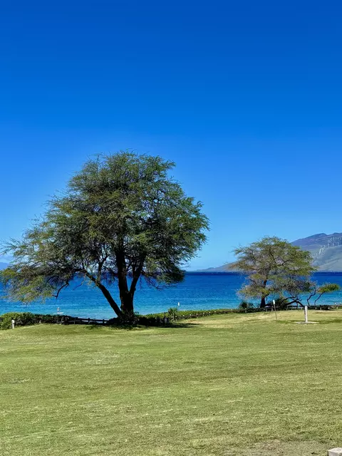 2747 S Kihei Rd #B-306, Kihei, HI 96753