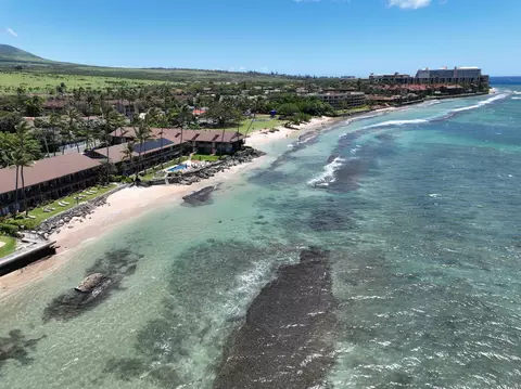 3691 Lower Honoapiilani Rd #110, Lahaina, HI 96761