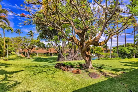 Exterior - 3788 Lower Honoapiilani Rd #E212, Lahaina, HI 96761 photo 5 of 12