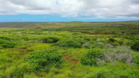 0 Kalua Koi Rd #LOT 55, Maunaloa, HI 96770