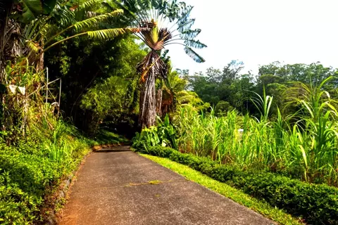 Other - 1640 Kokomo Rd, Haiku, HI 96708 photo 1 of 6
