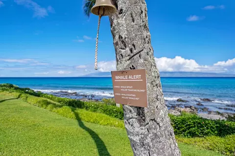 View/Area - 5315 Lower Honoapiilani Rd #E138, Lahaina, HI 96761 photo 2 of 9