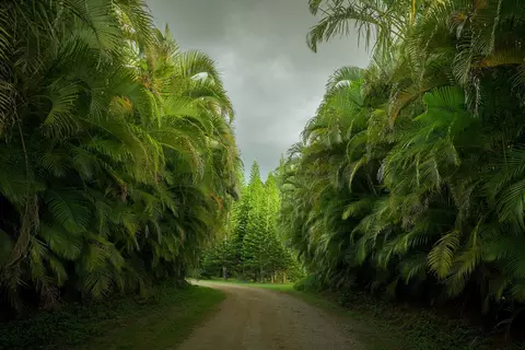 1949 W Kuiaha Rd, Haiku, HI 96708