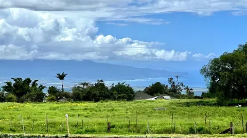 2732 Kula Hwy, Kula, HI 96790
