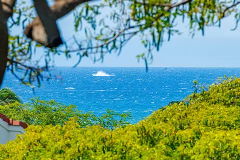 2191 S Kihei Rd #2420, Kihei, HI 96753