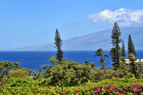 50 Puu Anoano St #603, Lahaina, HI 96761