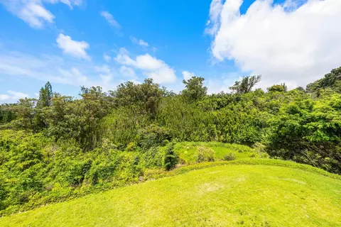 Exterior - 311 Awalau Rd, Haiku, HI 96708 photo 7 of 9