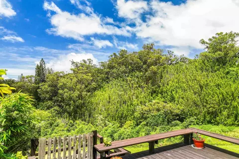 Exterior - 311 Awalau Rd, Haiku, HI 96708 photo 5 of 9