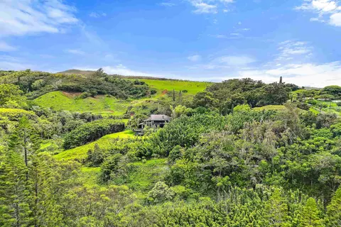 Other - 311 Awalau Rd, Haiku, HI 96708 photo 9 of 12