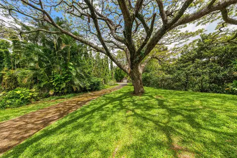 Exterior - 311 Awalau Rd, Haiku, HI 96708 photo 2 of 9