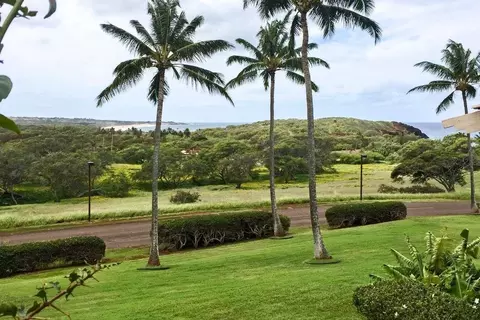 50 Kepuhi Pl #213, Maunaloa, HI 96770
