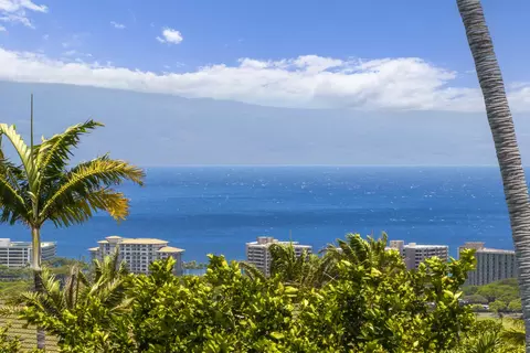 411 Wekiu Pl, Lahaina, HI 96761