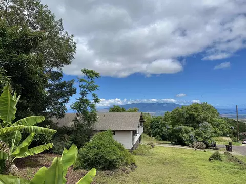 Exterior - 19 Alanui Pl, Kula, HI 96790 photo 4 of 10