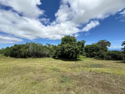 Exterior - 19 Alanui Pl, Kula, HI 96790 photo 10 of 10