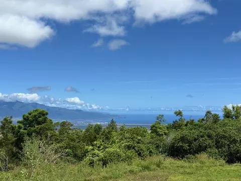View/Area - 19 Alanui Pl, Kula, HI 96790 photo 2 of 7