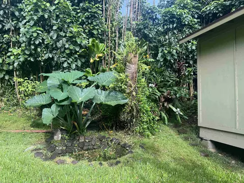 Exterior - 590 Kaiapa Pl, Haiku, HI 96708 photo 13 of 13