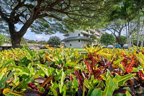3708 Lower Honoapiilani Rd #E20, Lahaina, HI 96761 photo 31
