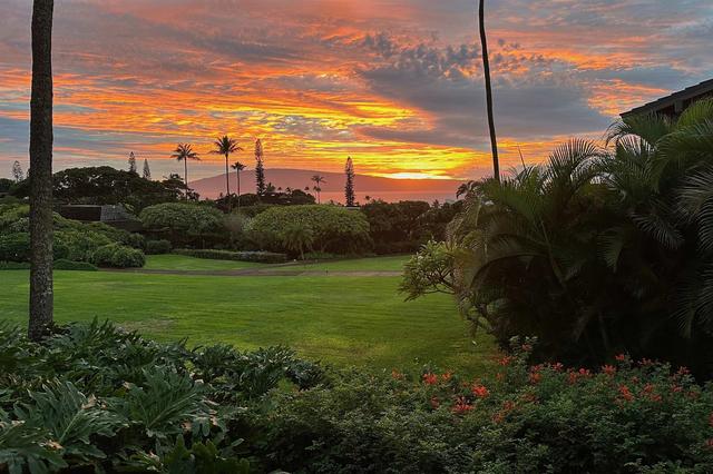 150 Puukolii Rd #43, Lahaina, HI 96761
