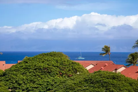 3445 Lower Honoapiilani Rd #732, Lahaina, HI 96761