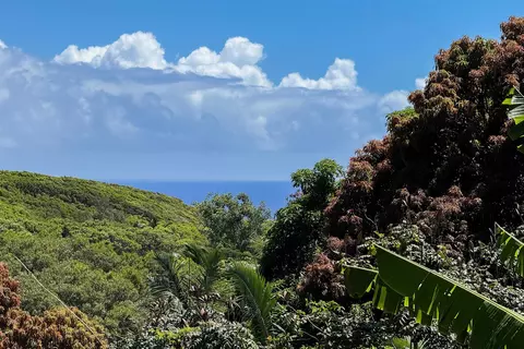 View/Area - 420 Haumana Rd, Haiku, HI 96708 photo 1 of 3