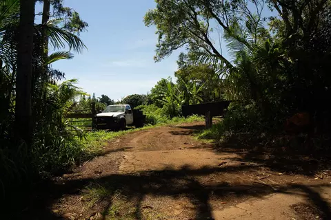Other - 420 Haumana Rd, Haiku, HI 96708 photo 4 of 7