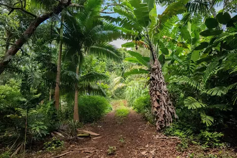Exterior - 420 Haumana Rd, Haiku, HI 96708 photo 10 of 15