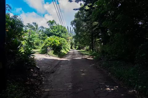 Other - 420 Haumana Rd, Haiku, HI 96708 photo 6 of 7