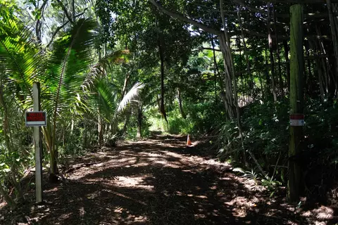 Exterior - 420 Haumana Rd, Haiku, HI 96708 photo 14 of 15