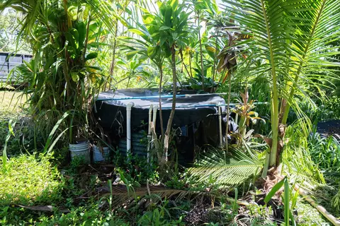 Exterior - 420 Haumana Rd, Haiku, HI 96708 photo 8 of 15