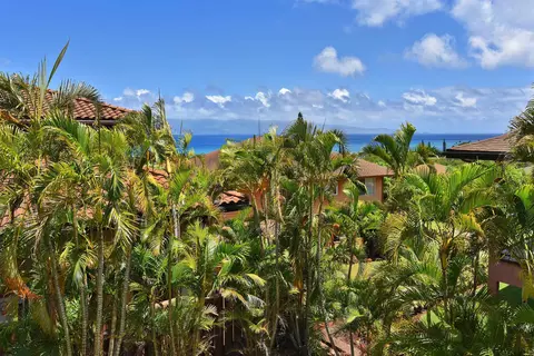 View/Area - 6 Iris Pl, Lahaina, HI 96761 photo 4 of 5