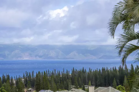 View/Area - 212 Crestview Rd, Lahaina, HI 96761 photo 7 of 7
