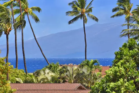 3660 Lower Honoapiilani Rd #302, Lahaina, HI 96761