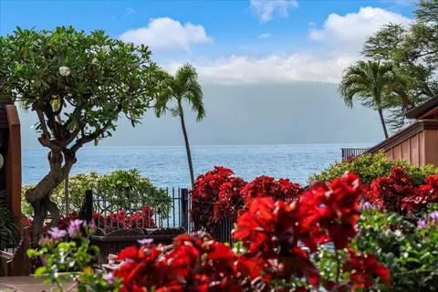 3959 Lower Honoapiilani Rd #302, Lahaina, HI 96761