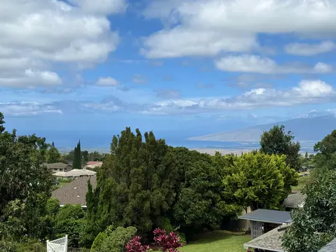 View/Area - 70 Akea Pl, Kula, HI 96790 photo 5 of 9
