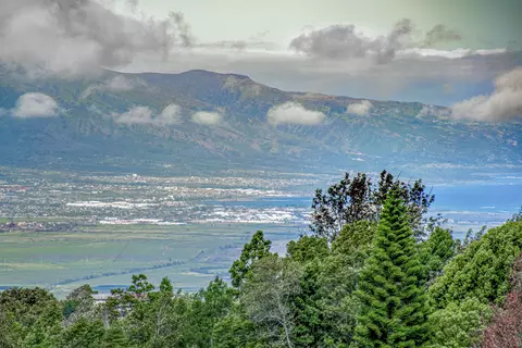 View/Area - 8 Paliuli Pl, Kula, HI 96790 photo 8 of 8