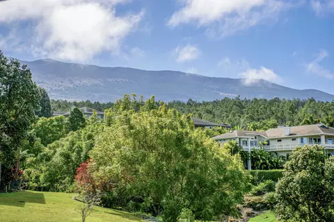 Exterior - 8 Paliuli Pl, Kula, HI 96790 photo 12 of 14