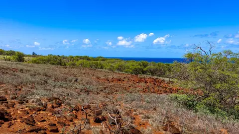 3575 Kalua Koi Rd #152, Maunaloa, HI 96748