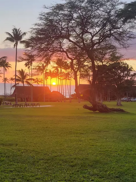 255 Kepuhi Pl #9C02-7B, Maunaloa, HI 96770
