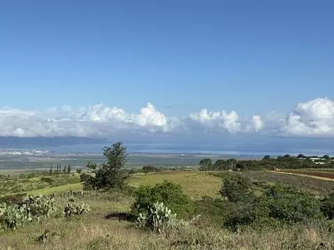 hoomaikai pl LOT 7, Kula, HI 96790