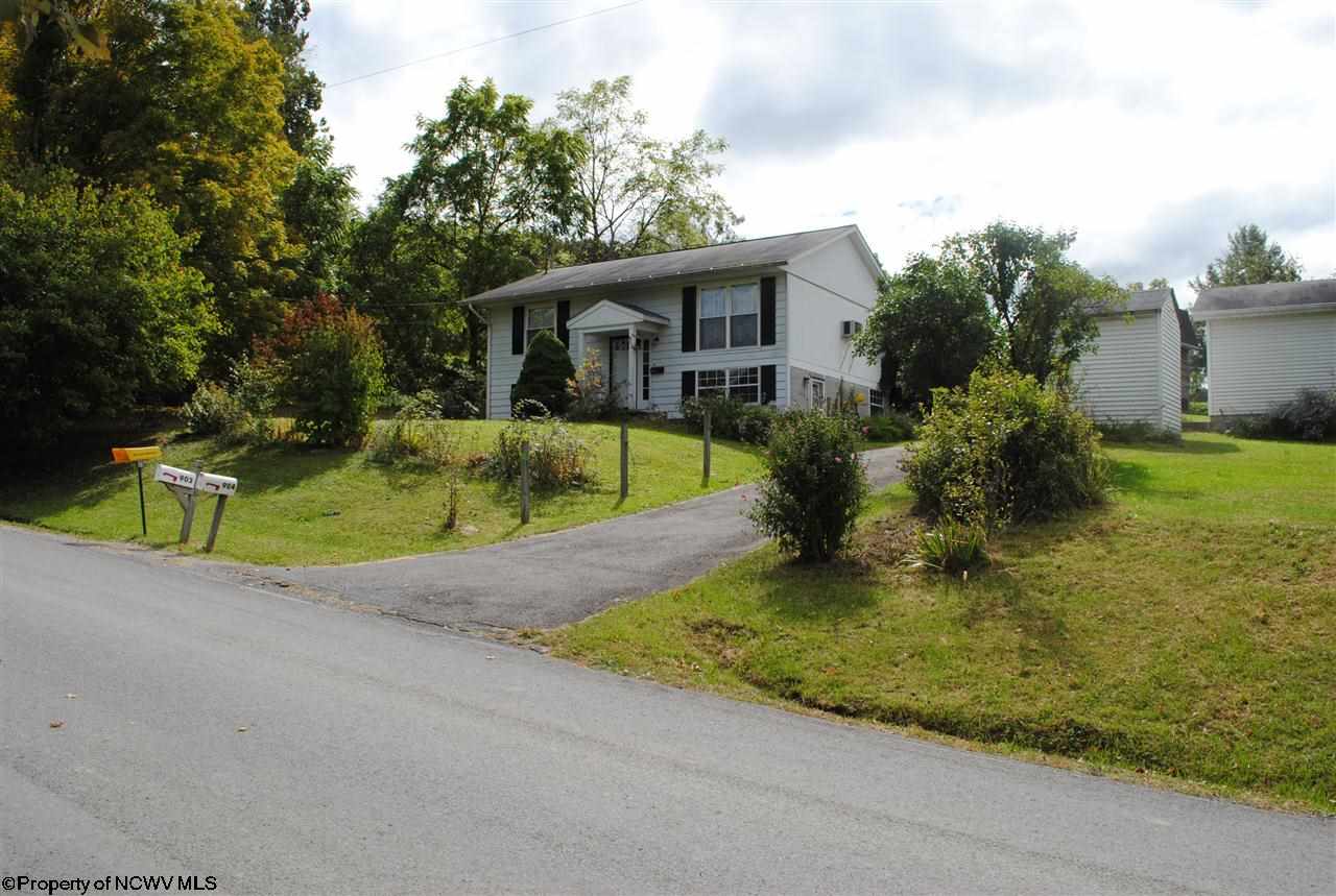 540 S Beverly Pike, Belington, WV 26250 photo 1