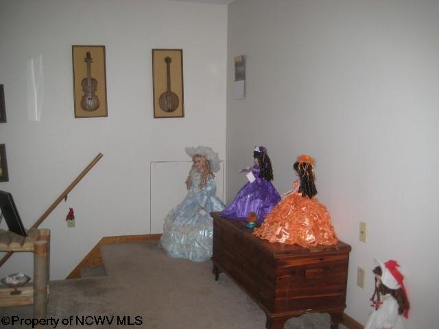93 Sandy Ave, Buckhannon, WV 26201 photo 10