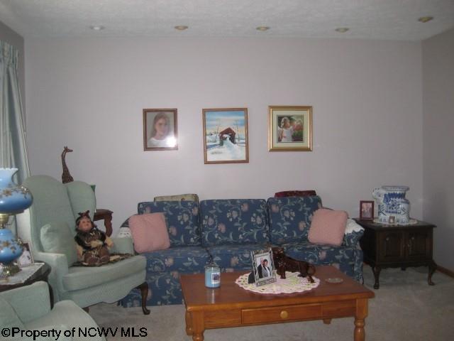 93 Sandy Ave, Buckhannon, WV 26201 photo 3