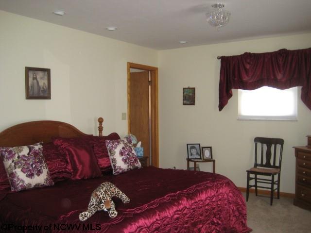 93 Sandy Ave, Buckhannon, WV 26201 photo 6