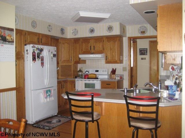 93 Sandy Ave, Buckhannon, WV 26201 photo 7