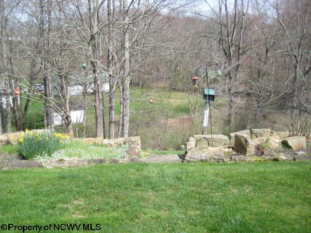 93 Sandy Ave, Buckhannon, WV 26201 photo 19