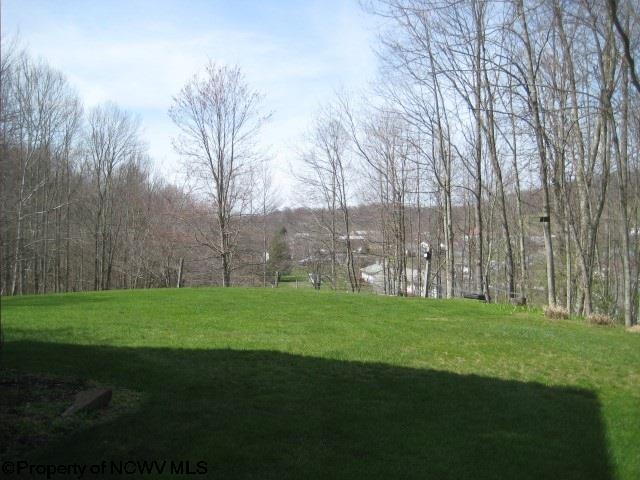 93 Sandy Ave, Buckhannon, WV 26201 photo 20