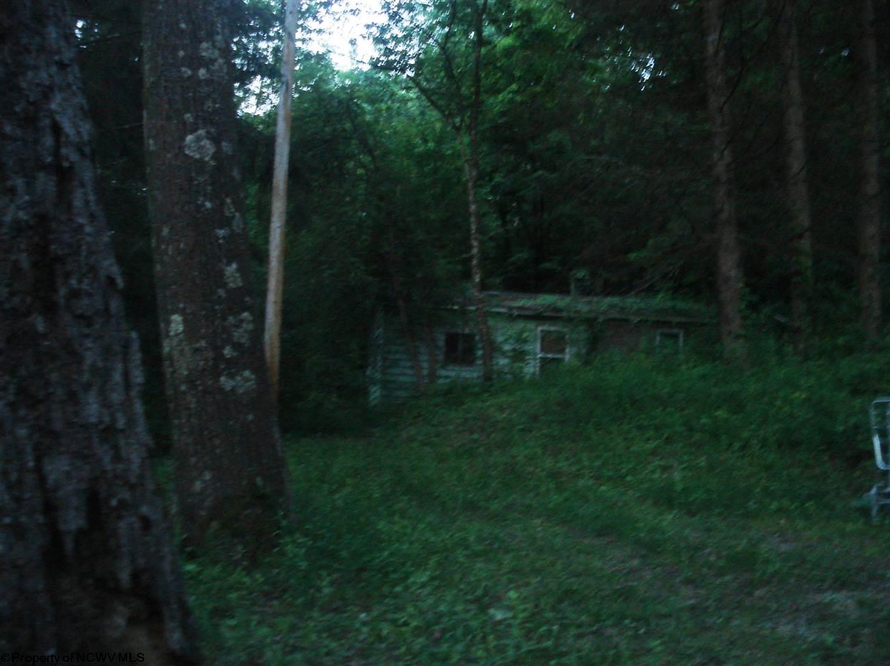 4729 Independence Rd, Independence, WV 26374 photo 7