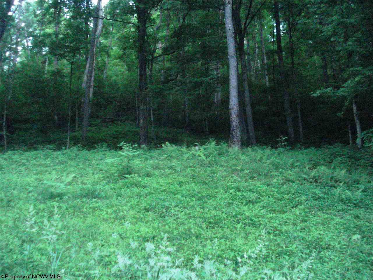 4729 Independence Rd, Independence, WV 26374 photo 6